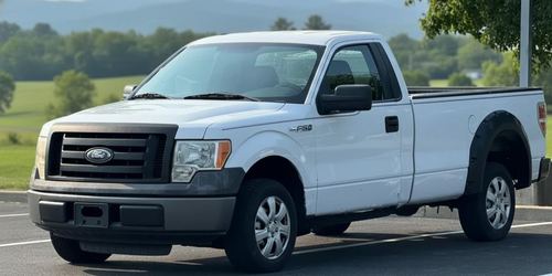 2010 Ford F150