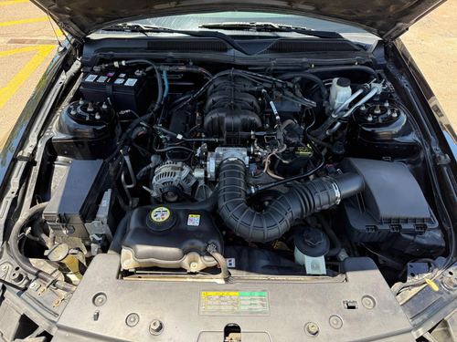 2009 Ford Mustang — photo 14