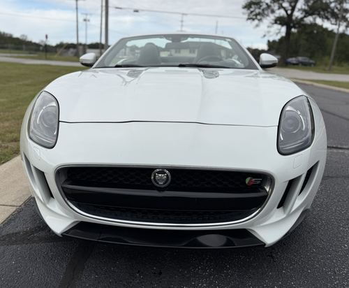 2014 Jaguar F-Type V8 S — photo 9